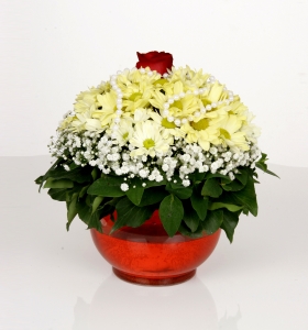 Cam Akvaryumda Kır çiçekleri ve Gül  