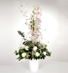  Seramikte Cymbidium Orkide  