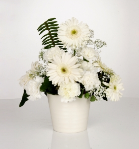 Beyaz Seramikte Beyaz Kır Çiçekleri   