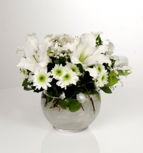 Akvaryum Cam Vazoda Beyaz Bahar Çiçekleri  