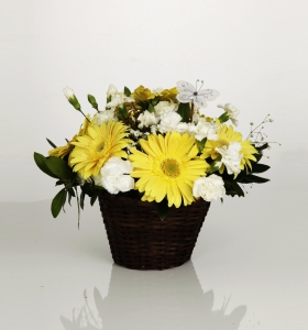 Sepette Gerbera ve Karanfil   