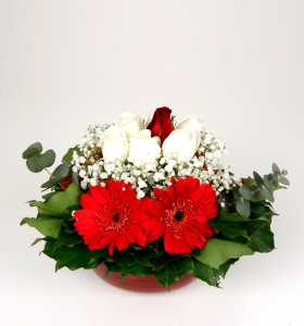  Sepette Gül ve Gerbera  