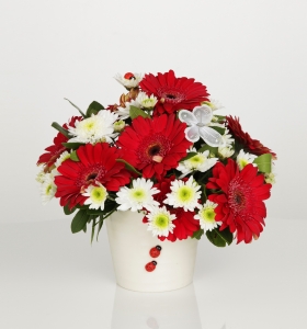 Seramikte gerbera ve kır çiçekleri  