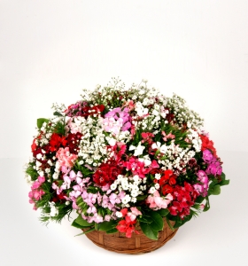 Sepette Rengarenk Kır Çiçekleri  